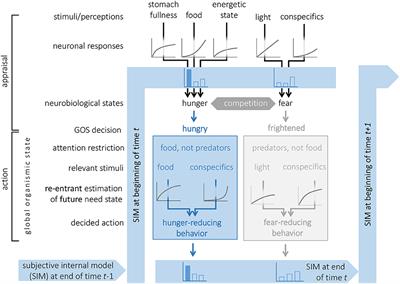 Decision-Making From the Animal Perspective: Bridging Ecology and Subjective Cognition